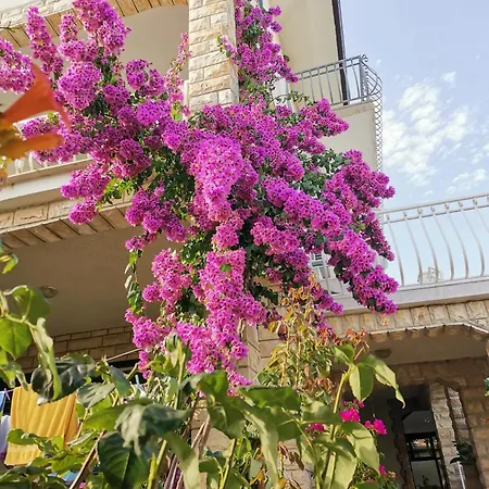 By The Sea Vinisce, Trogir - 4288 *